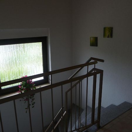 Lugau Pension Andrea מראה חיצוני תמונה